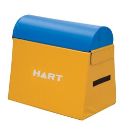 HART Mini Vault