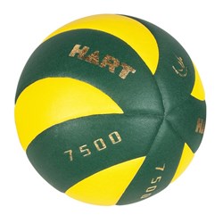 HART Swirl 7500 Volleyball 