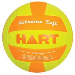 HART BigBall Volleyball