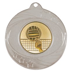 Solar Medal Silver Gold Insert - Volleyball