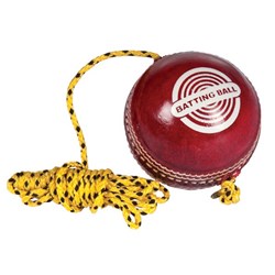 HART Cricket Ball on String