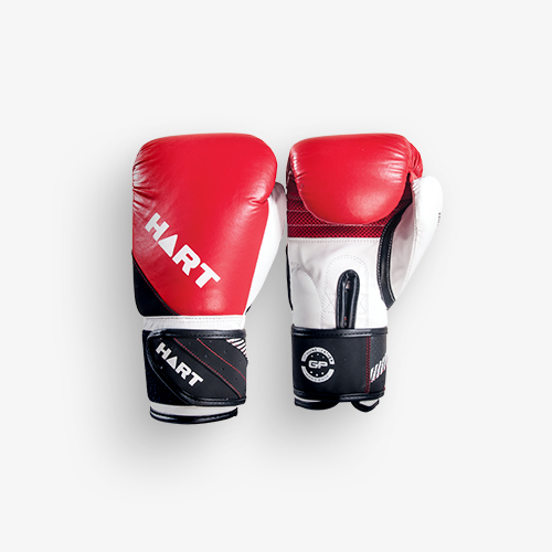 Boxing for Fitness