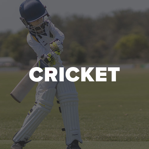 Info and Tips on Cricket