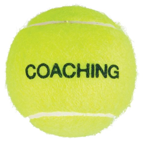 HART Bucket of Coaching Tennis Balls 