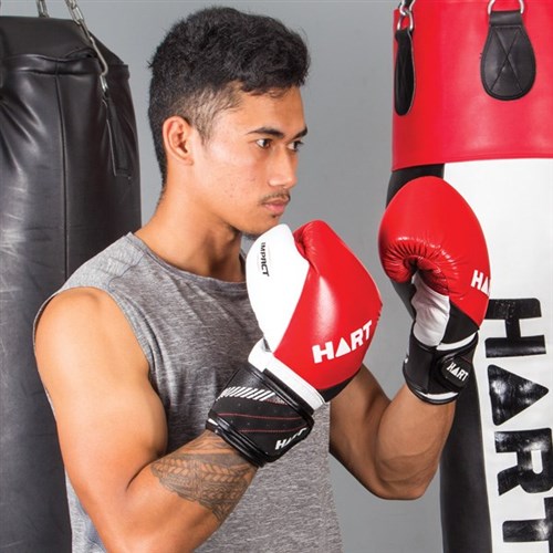 HART Impact Boxing Gloves 12oz