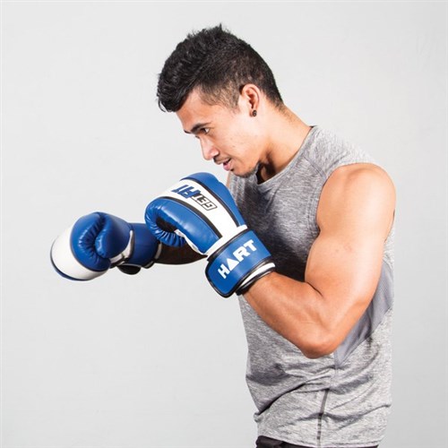 HART Get Fit Boxing Gloves 10oz