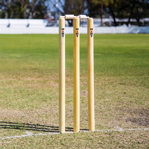 HART Wooden Cricket Stumps